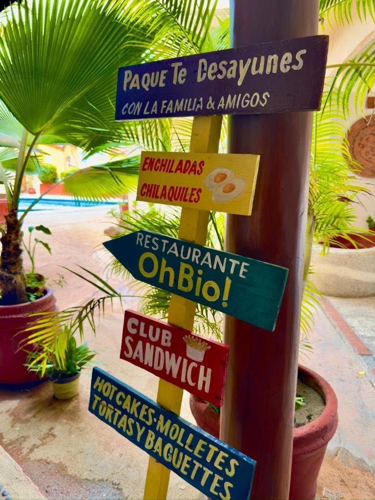 Hotel Zihuatanejo Centro Zewnętrze zdjęcie