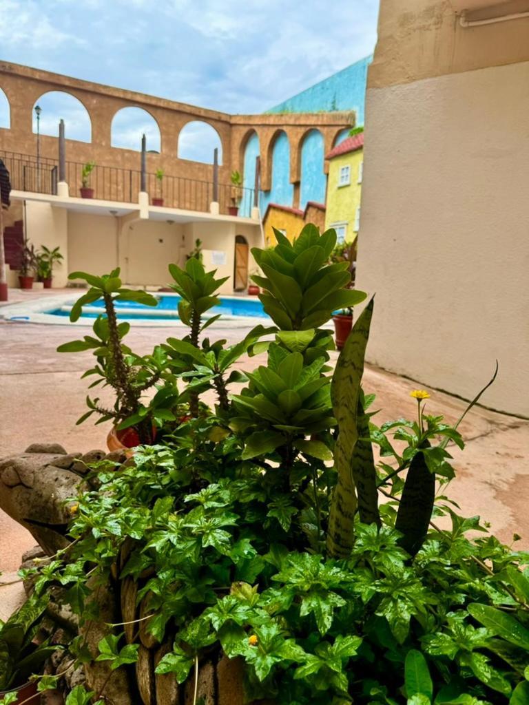 Hotel Zihuatanejo Centro Zewnętrze zdjęcie